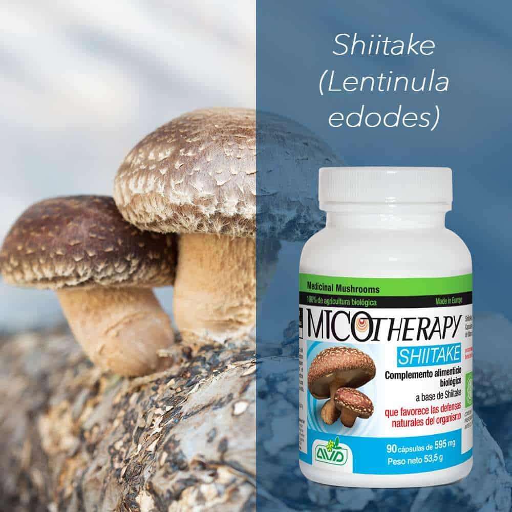 Shiitake AVD Reform