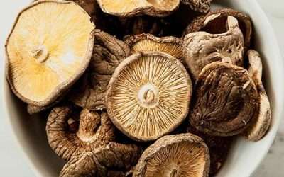 Shiitake: il fungo medicinale protagonista nella cucina di Masterchef 5