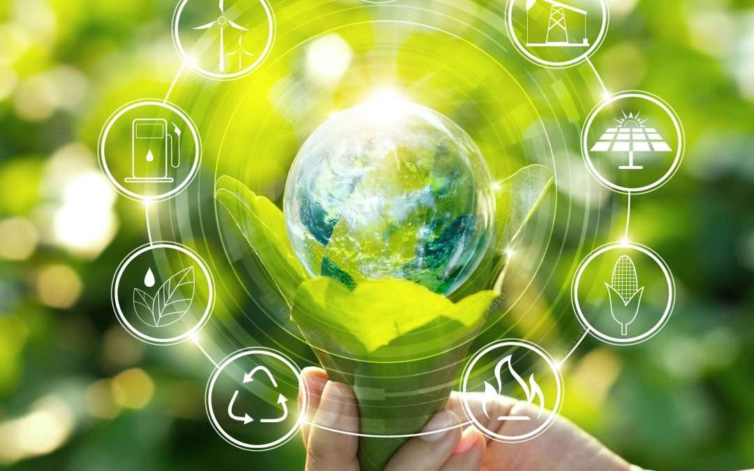 Green power: AVD Reform sceglie l’energia pulita