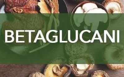 Beta-Glucans: What Are They and How Do They Work in the Body?