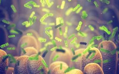 Coronavirus: microbiota intestinale, alimentazione e sistema immunitario. Intervista al Dott.Zanello