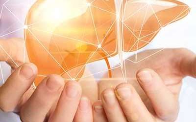 Detox dopo le feste: cosa depurare? Parti dal fegato