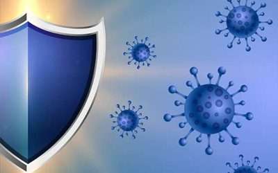 Sistema immunitario: ti sei mai chiesto come funziona?
