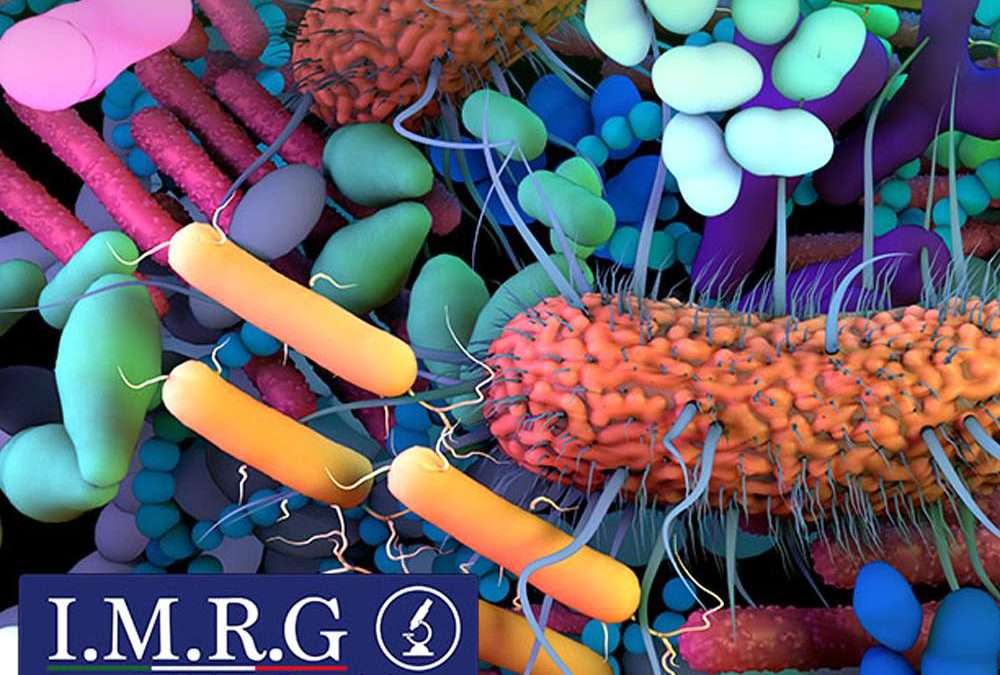 Microbiota intestinale: il suo equilibrio è fondamentale per la salute e la longevità
