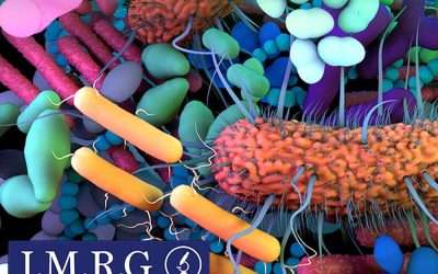 Microbiota intestinale: il suo equilibrio è fondamentale per la salute e la longevità