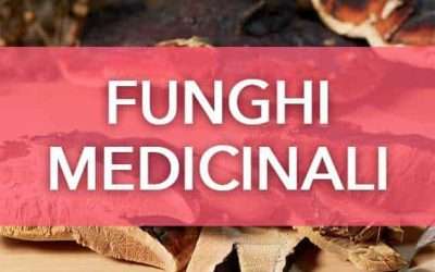 Funghi medicinali: a cosa servono? Scopriamo la micoterapia