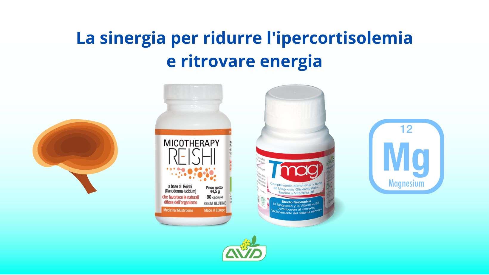 Reishi e T Mag AVD Reform