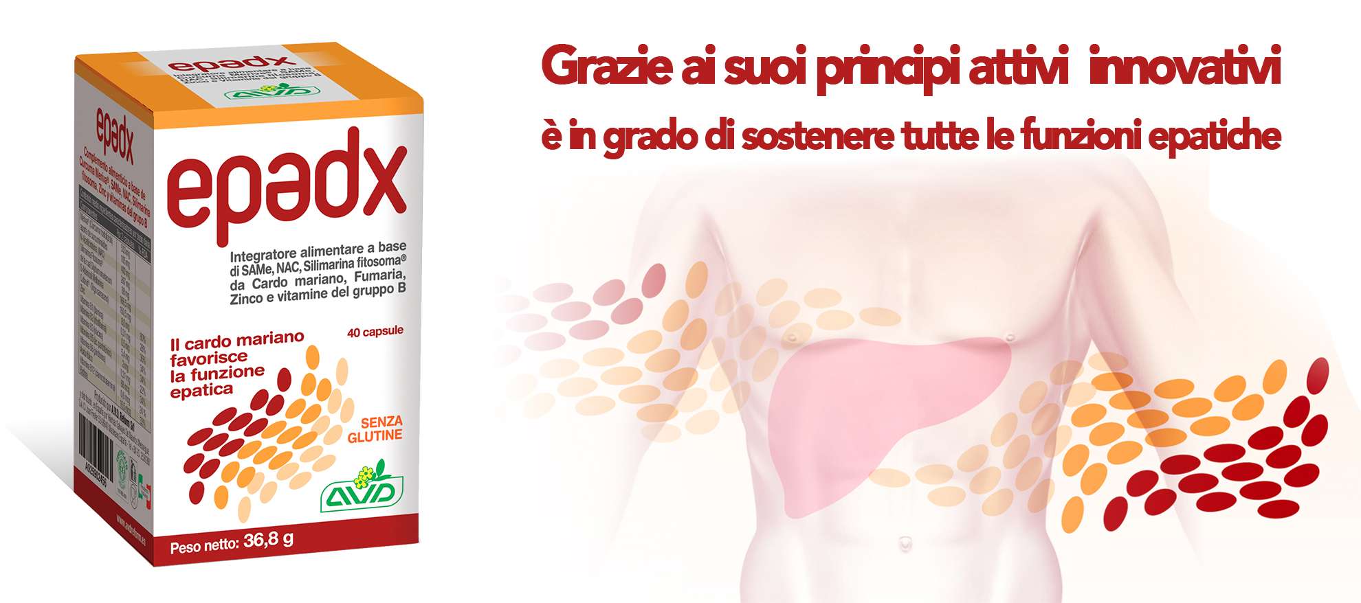 Liver Health – Epadx by AVD Reform