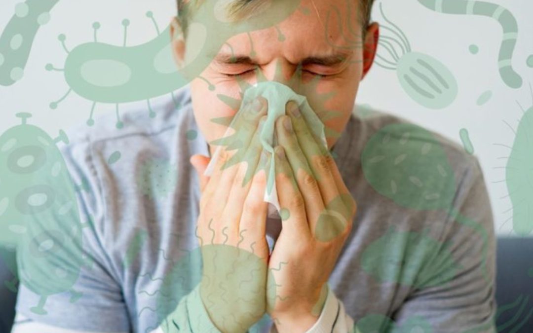 Sistema immunitario: 5 rimedi naturali contro i malanni stagionali