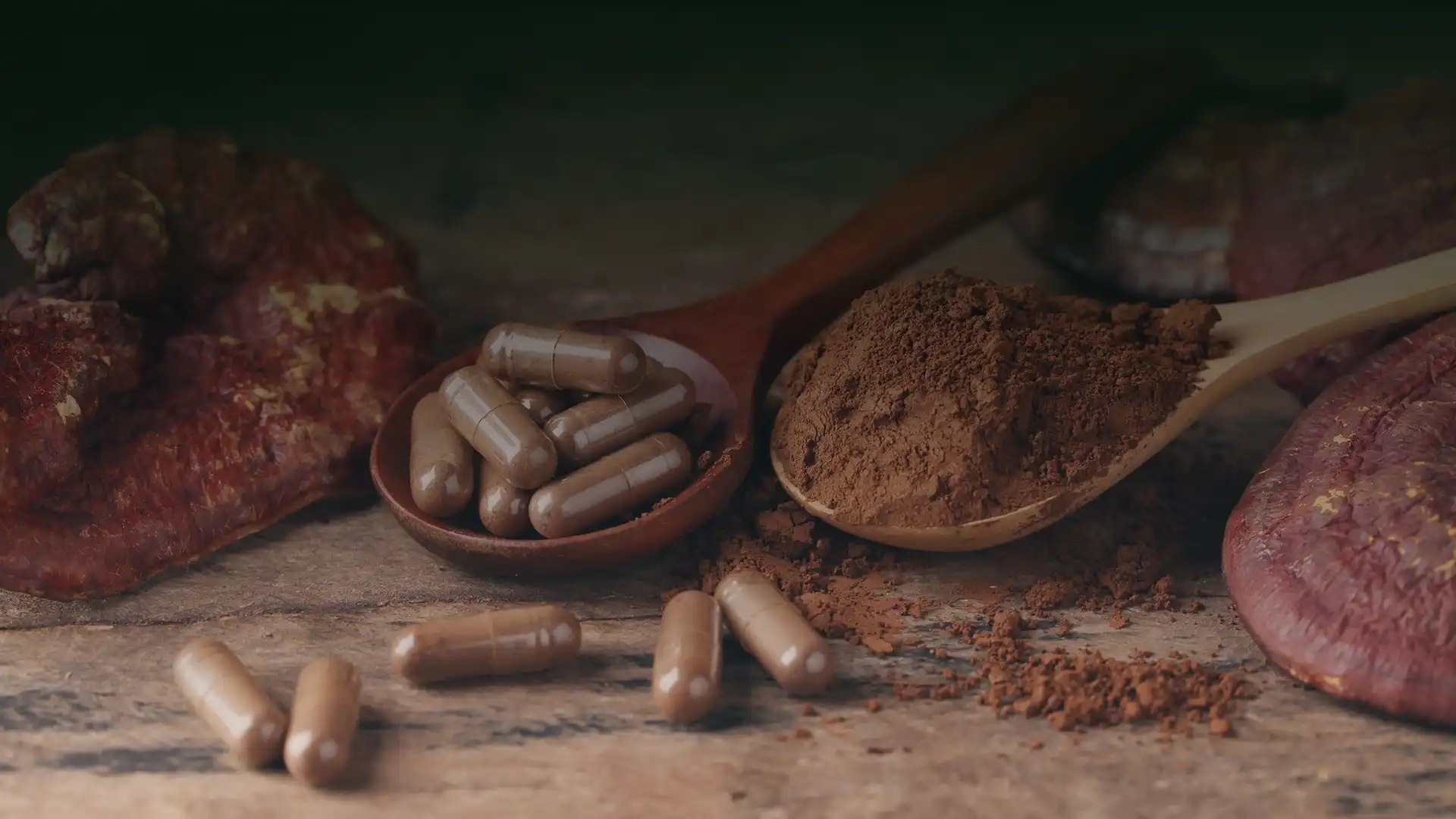 funghi medicinali