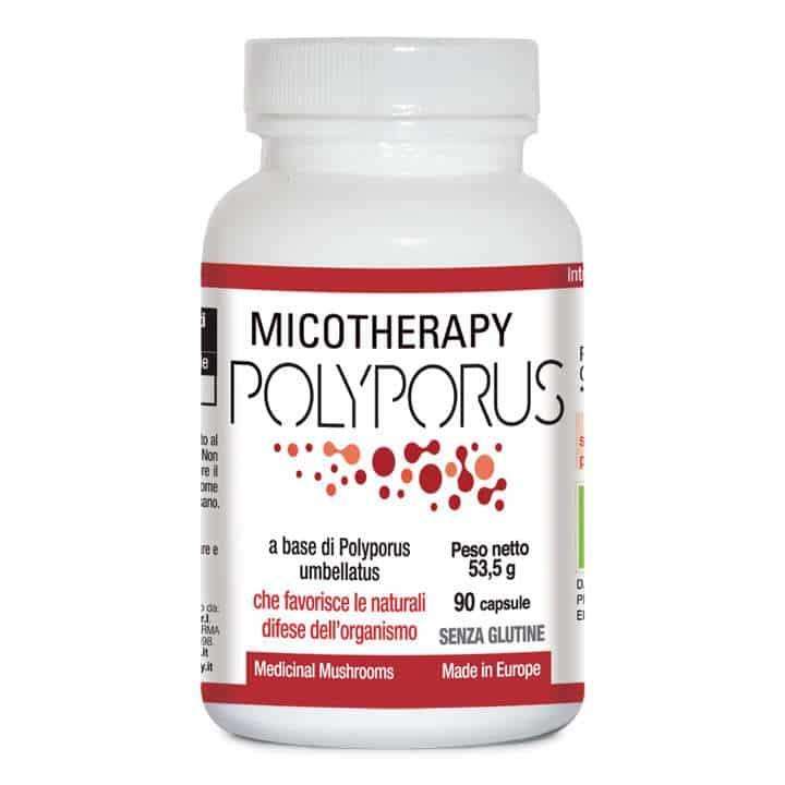 Micotherapy Polyporus
