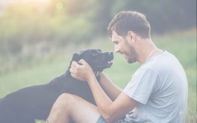 Integrazione alimentare in veterinaria: i benefici dei rimedi naturali per la salute degli animali