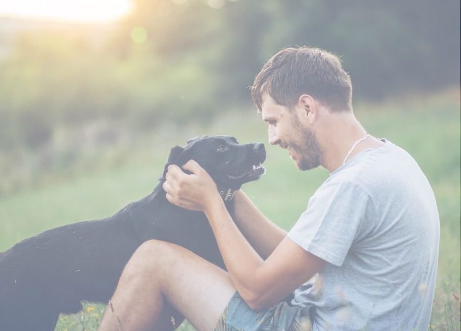 Integrazione alimentare in veterinaria: i benefici dei rimedi naturali per la salute degli animali