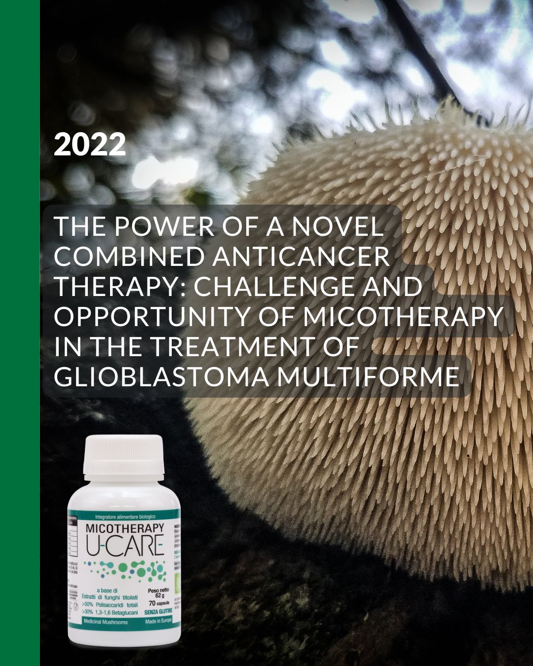 Micotherapy U-Care di AVD Reform è l’integratore a base di funghi più studiato 3 12 1