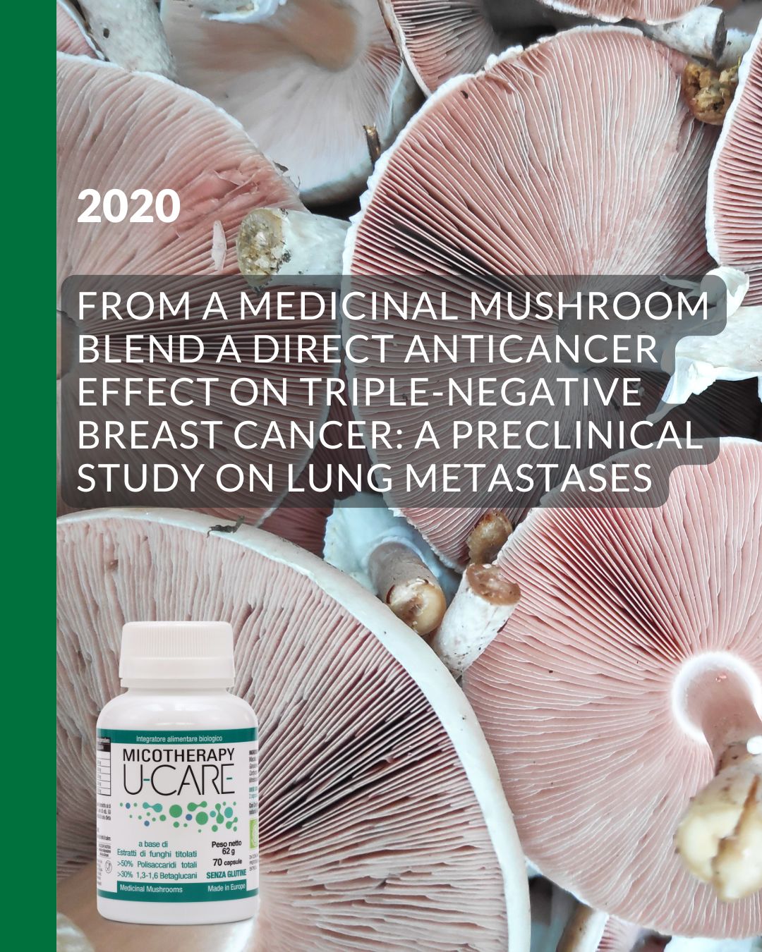Micotherapy U-Care di AVD Reform è l’integratore a base di funghi più studiato 6 2020 1