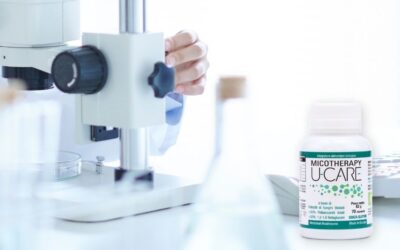 Micotherapy U-Care di AVD Reform è l’integratore a base di funghi più studiato