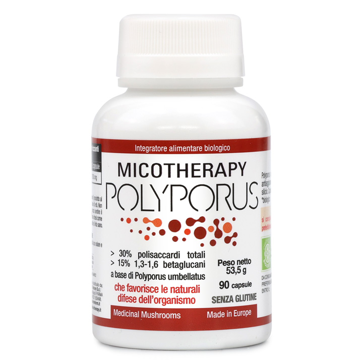 Micotherapy Polyporus