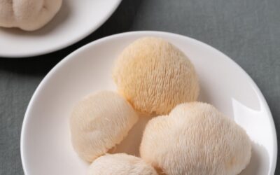 Home 9 Hericium erinaceus proprietà: benefici, utilizzi e cosa dice la scienza