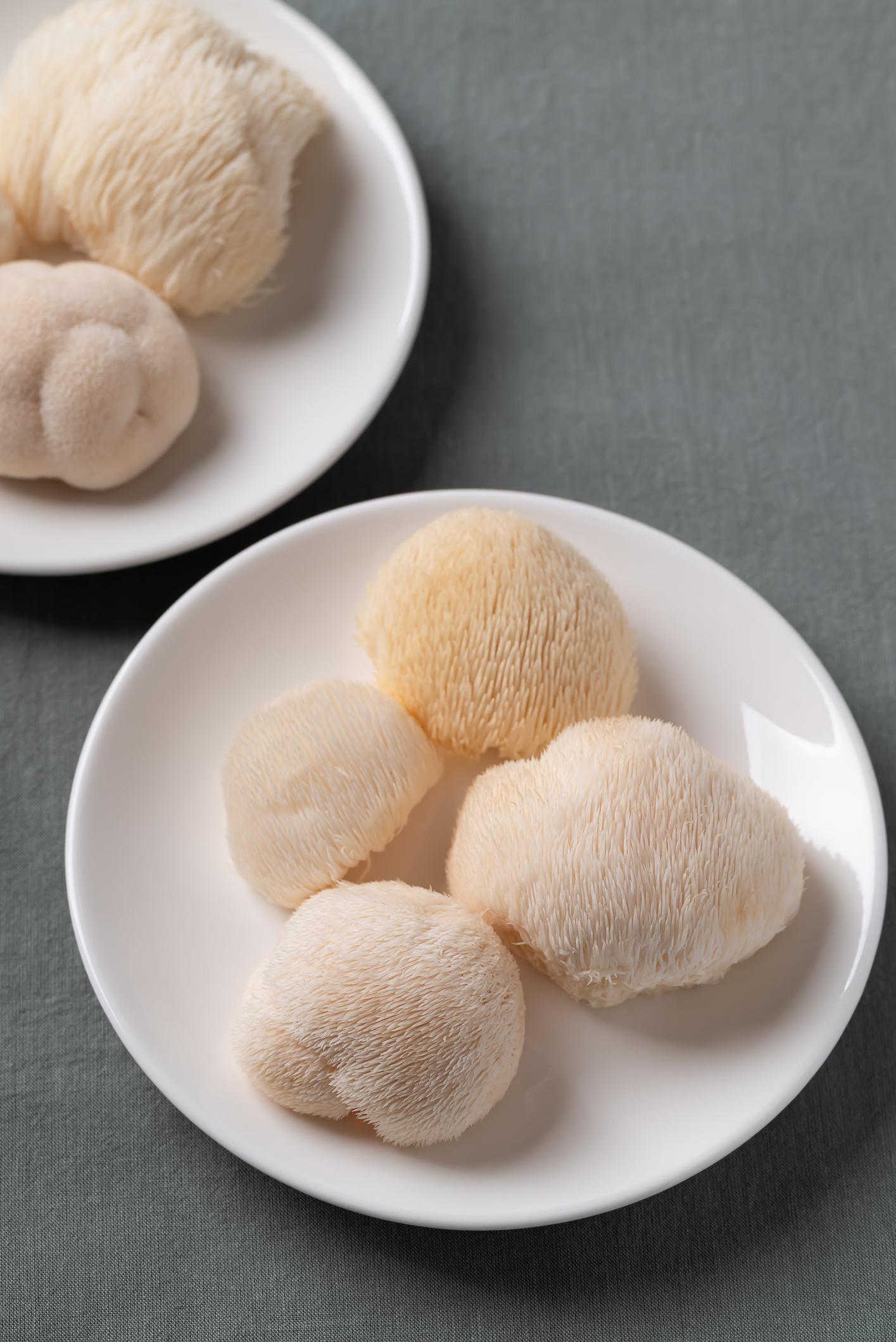 Hericium erinaceus AVD Reform