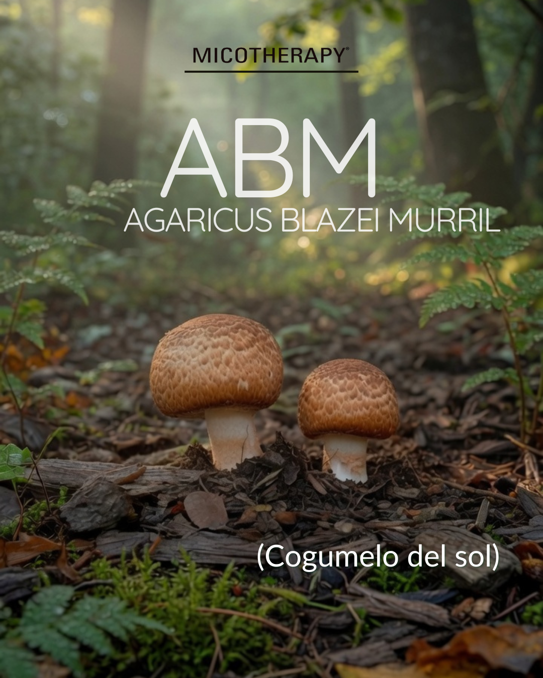 abm
