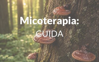 Home 10 Micoterapia: guida ai principali funghi medicinali e ai loro benefici | Il Quarto Regno
