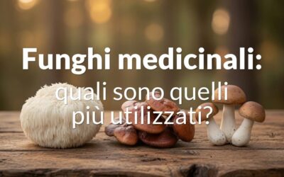 Quali sono i funghi medicinali più utilizzati?