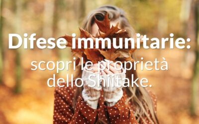 Settembre e difese immunitarie: scopri le proprietà dello Shiitake