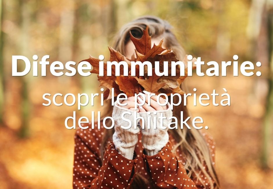 Settembre e difese immunitarie: scopri le proprietà dello Shiitake