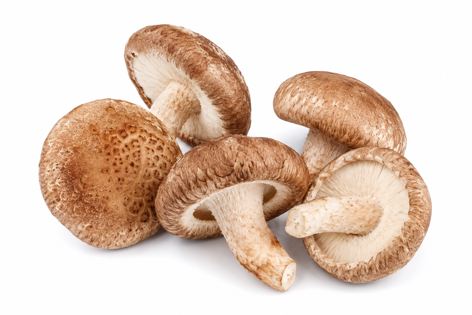 Shiitake: proprietà e benefici -  Blog AVD Reform