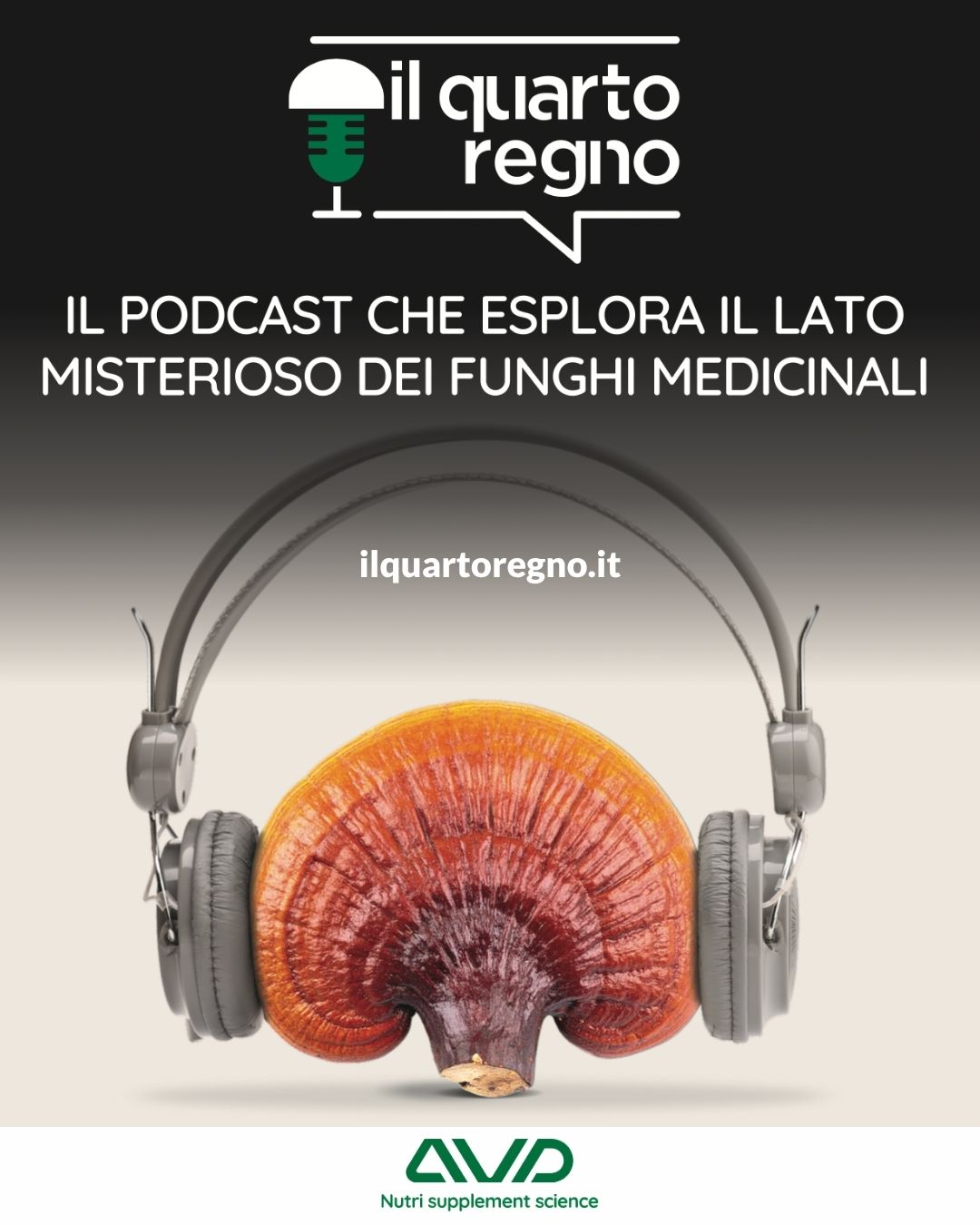 post linkedin il quarto regno